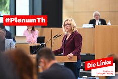Katja Mitteldorf