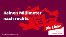 ressort-banner-11-antifa04.png